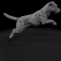 cir-125-animal-jumping-terrier — thumbnail 3