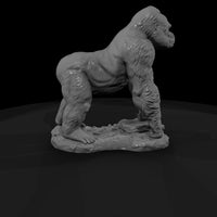 ant-037-western-gorilla-male — thumbnail 3