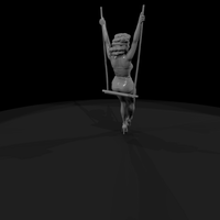 Pin-Up Woman on a Rope Swing — thumbnail 4