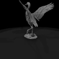 ant-130-sandhill-crane-male — thumbnail 3