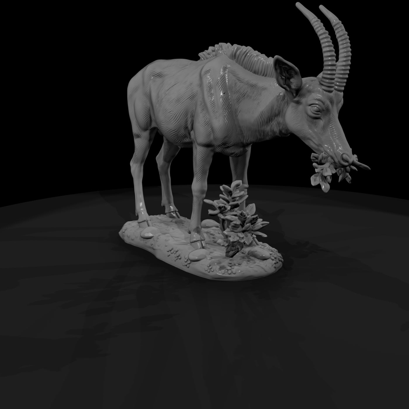 ant-233-sable-antelope-female