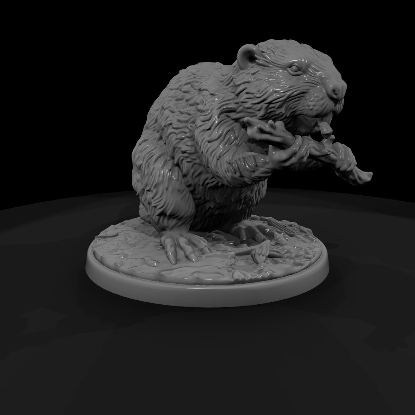 ant-187-beaver-male