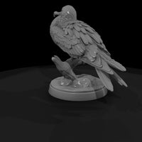 ant-136-frigatebird-male — thumbnail 3
