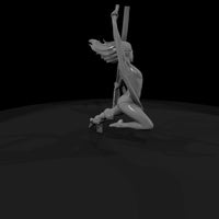 acrobat — thumbnail 4