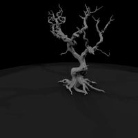 20260612-ancient-twisted-dead-tree-cfc565e291 — thumbnail 4