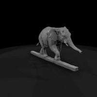 cir-135-animal-tightrope-elephant — thumbnail 3