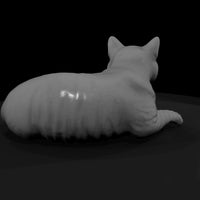 a_collection_of_housecats_polydactyl_21692ca8_meshref — thumbnail 3