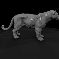 ant-151-jaguar-male — thumbnail 3