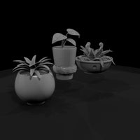 minimalist-low-poly-potted-houseplant-set-3d-printable-722191 — thumbnail 4