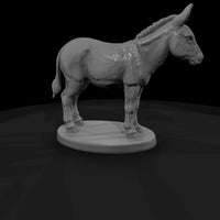 ww-0278-animal-burro — thumbnail 3