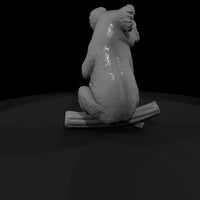 ant-266-koala-female — thumbnail 3