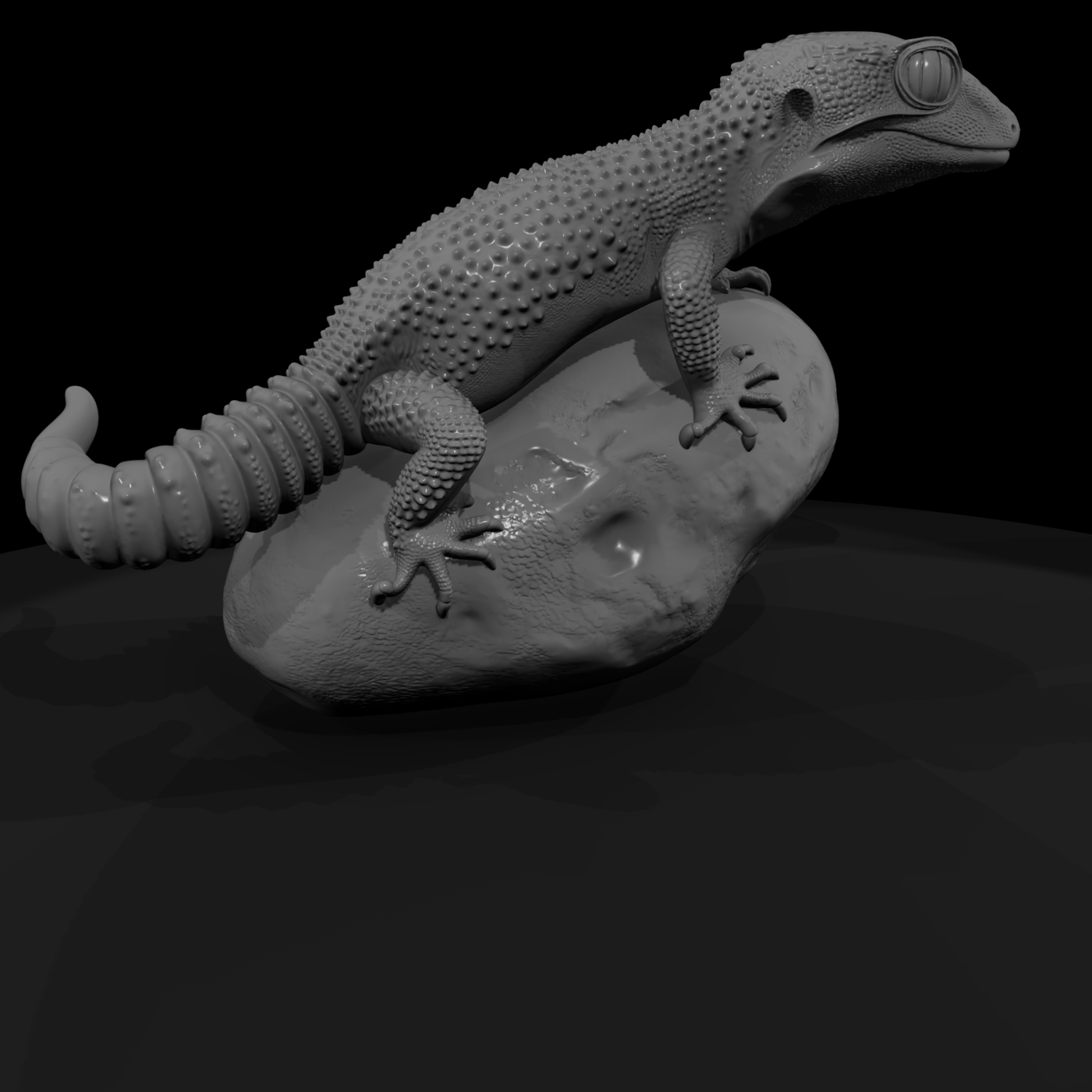 Leopard Gecko on Rock