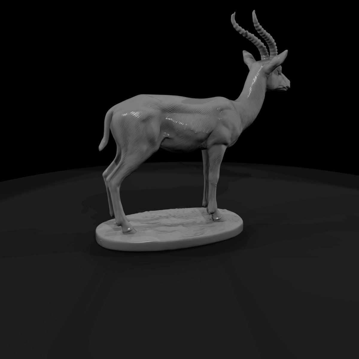 ant-235-thomson-s-gazelle-male