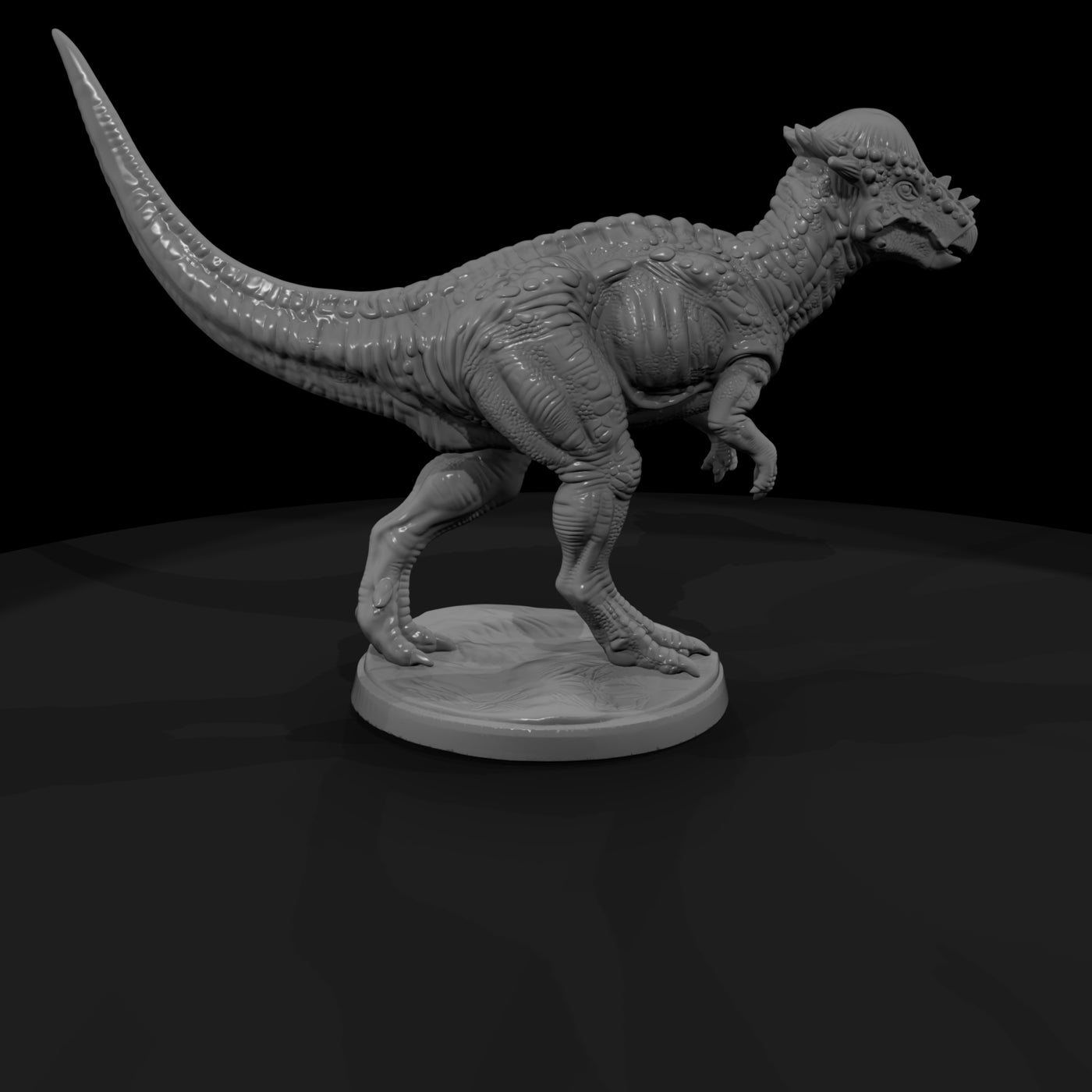 dino-13-pachycephalosaurus-6acab3