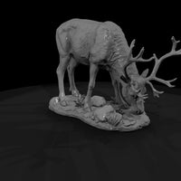 ant-062-caribou-female — thumbnail 3