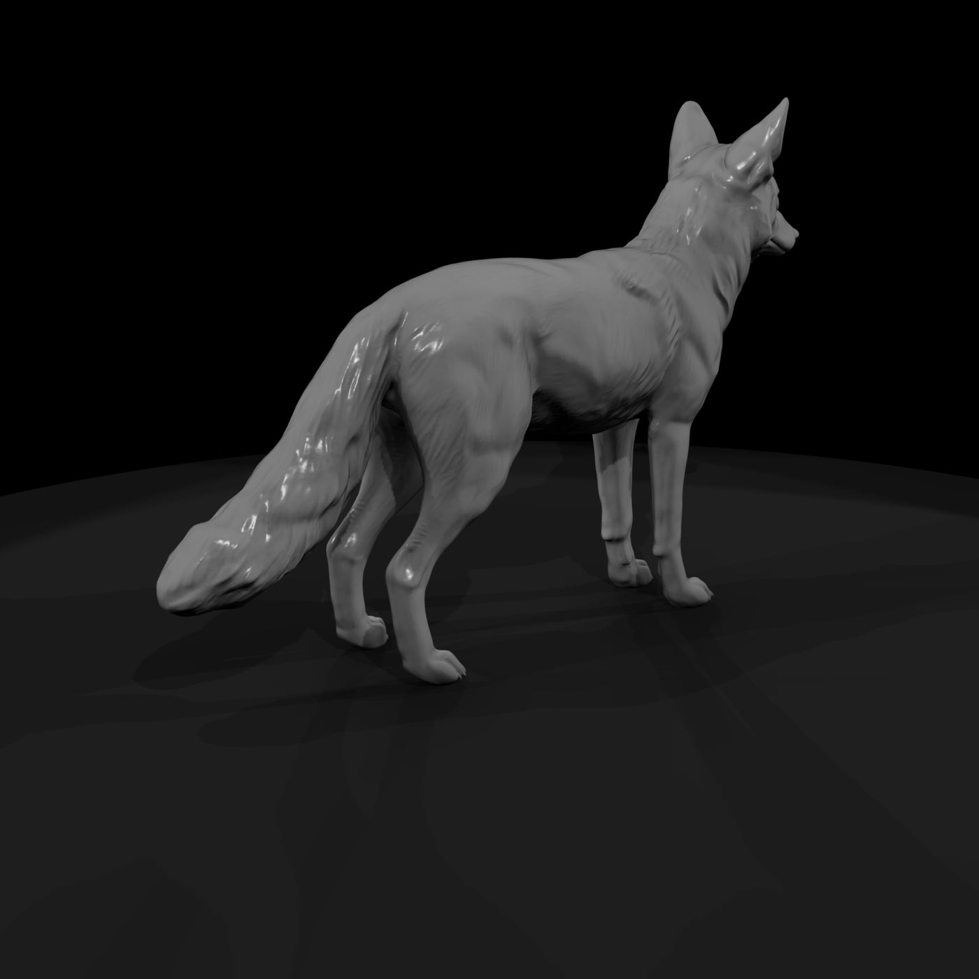 coyote