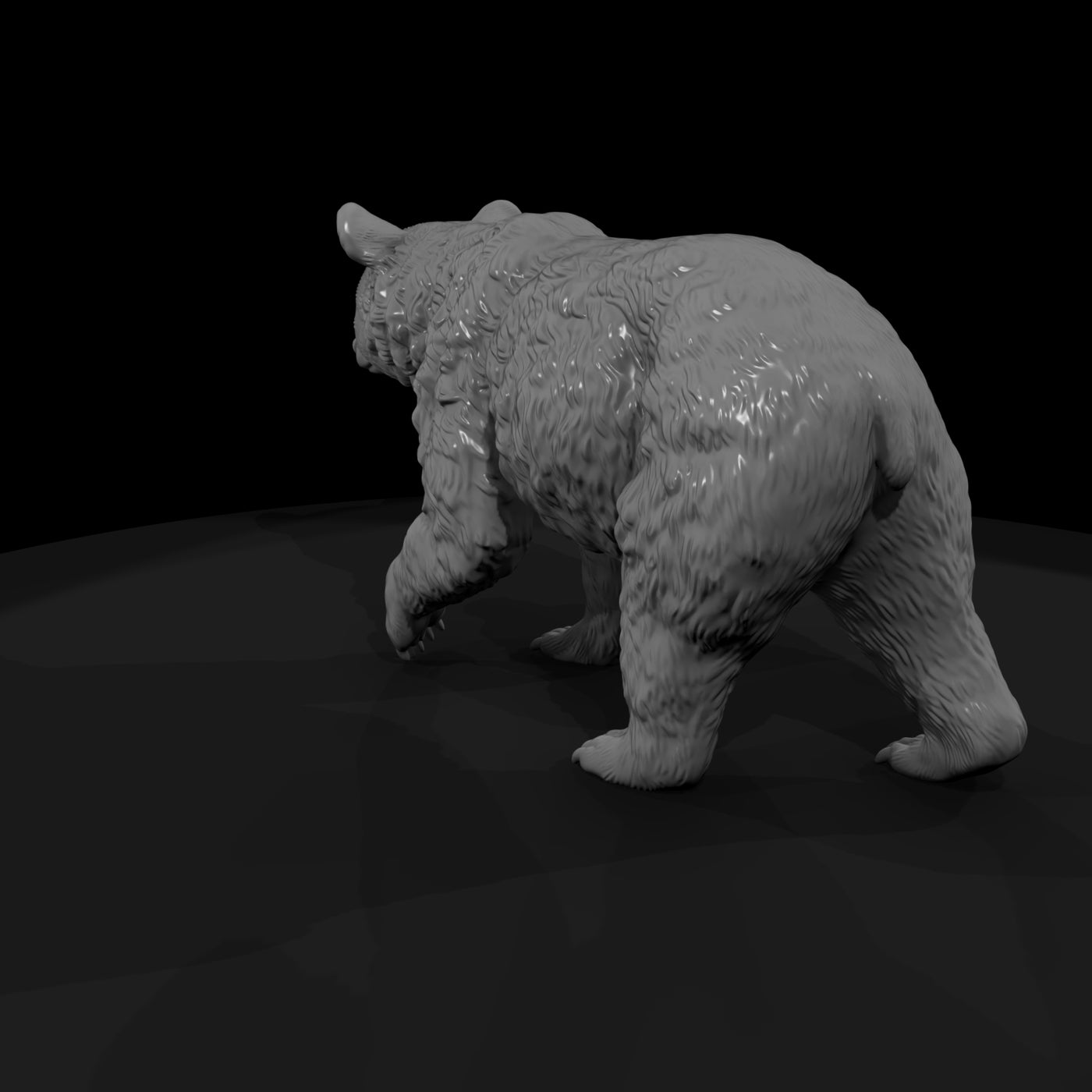 ant-212-american-black-bear-female