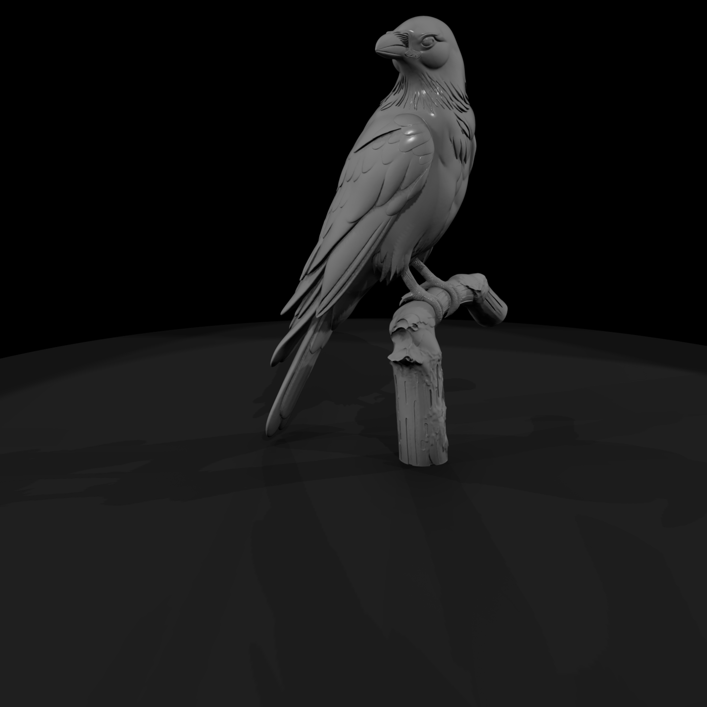Perched Bird on Branch — accent