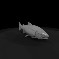 chinook-salmon-miniature-3d-printable-899972 — thumbnail 4