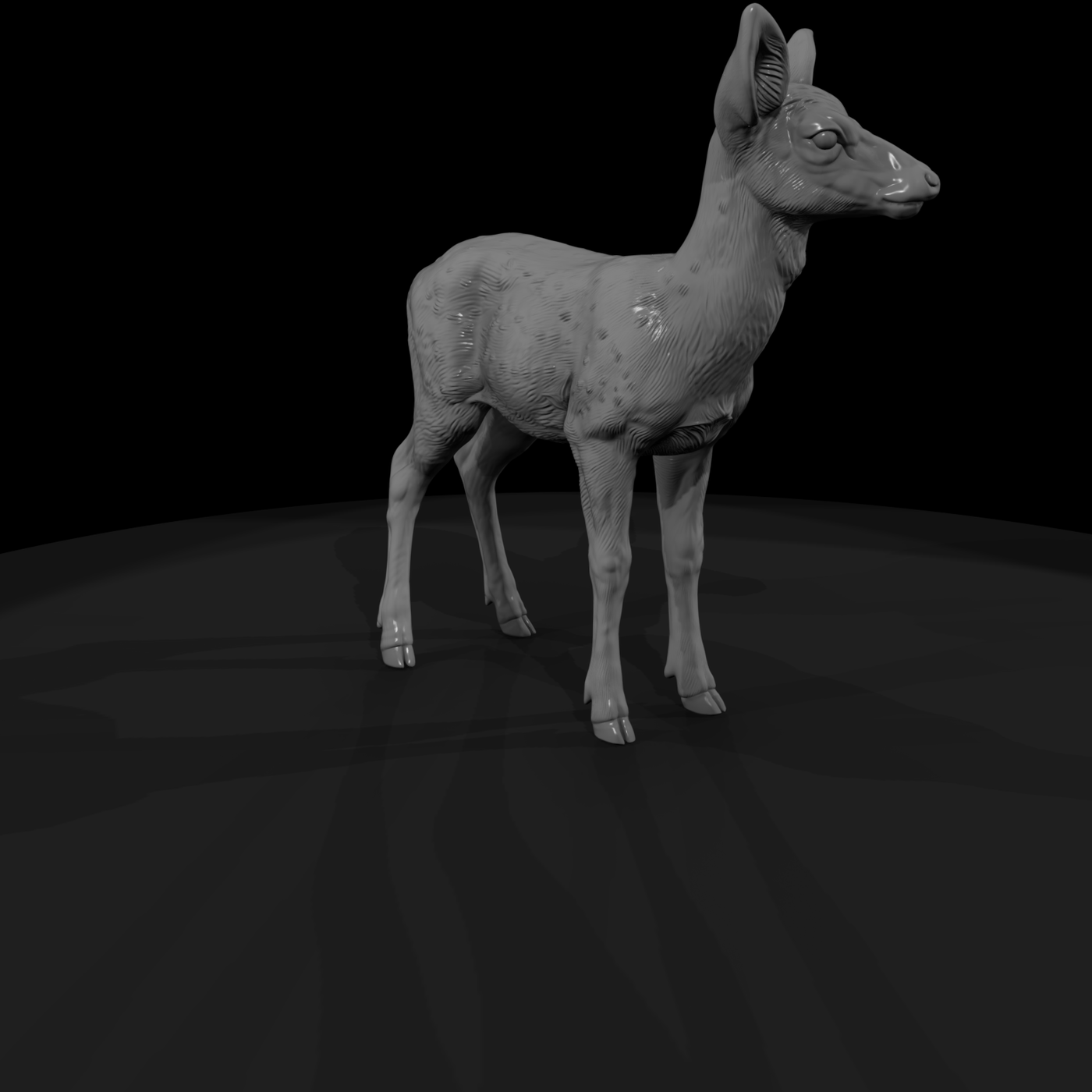 Young Spotted Deer Fawn Standing
