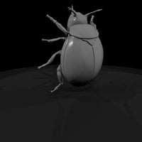 stylized-ladybug-diorama-accent-401551 — thumbnail 4