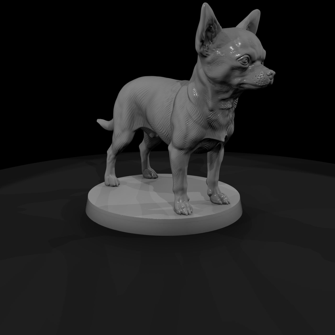 anim-09-chihuahua-039f8c