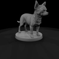 anim-09-chihuahua-039f8c — thumbnail 4