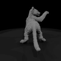 ant-147-cougar-adolescent — thumbnail 3