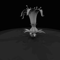 deadly-plants-dread-lily — thumbnail 3