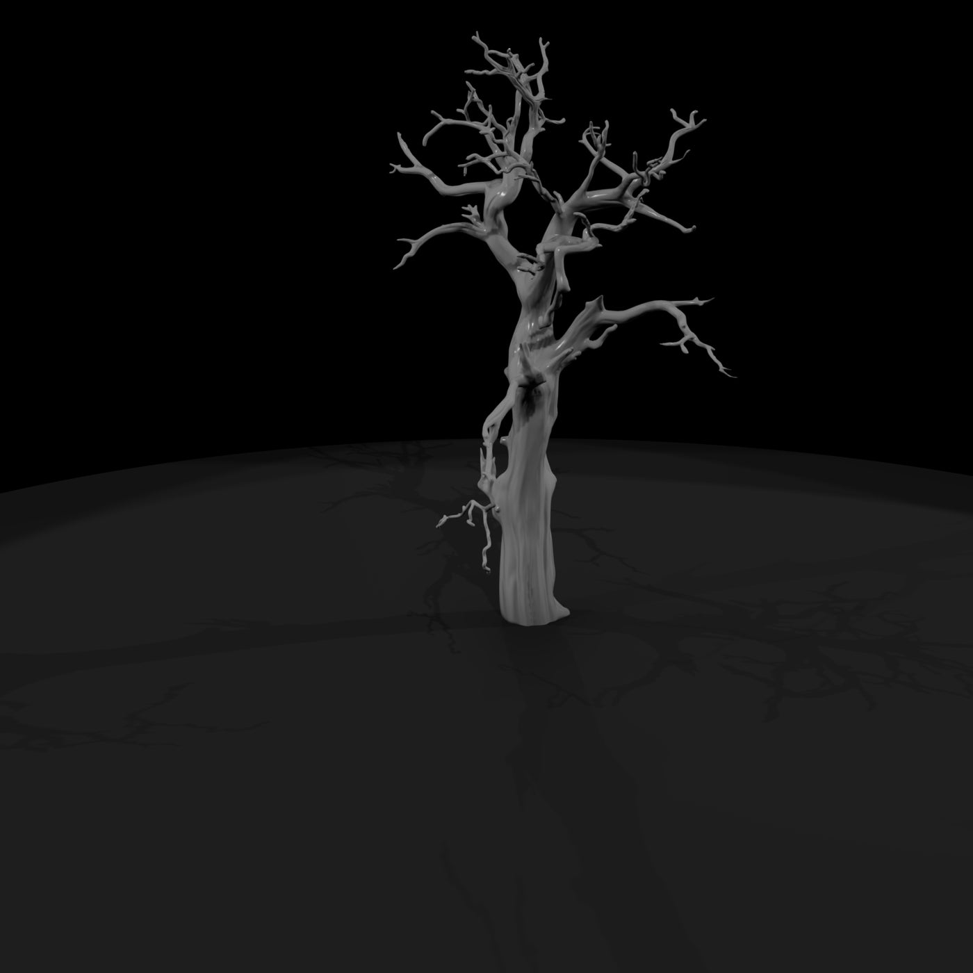 20260612-ancient-gnarled-dead-tree-d8d5631dc7
