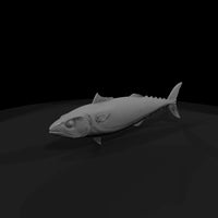 atlantic-mackerel-3d-printable-scale-miniature-133738 — thumbnail 4