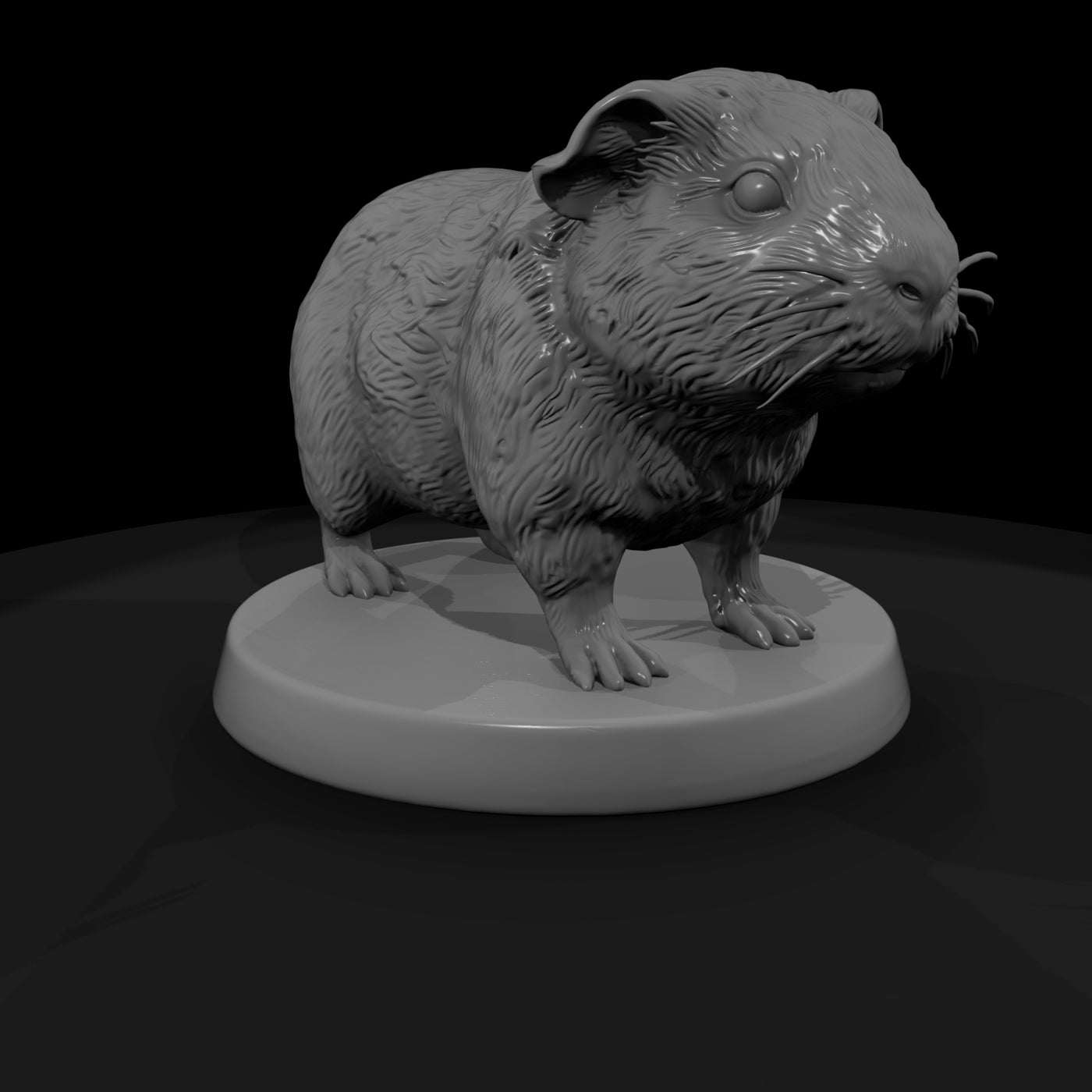 anim-27-guinea-pig-4a4412