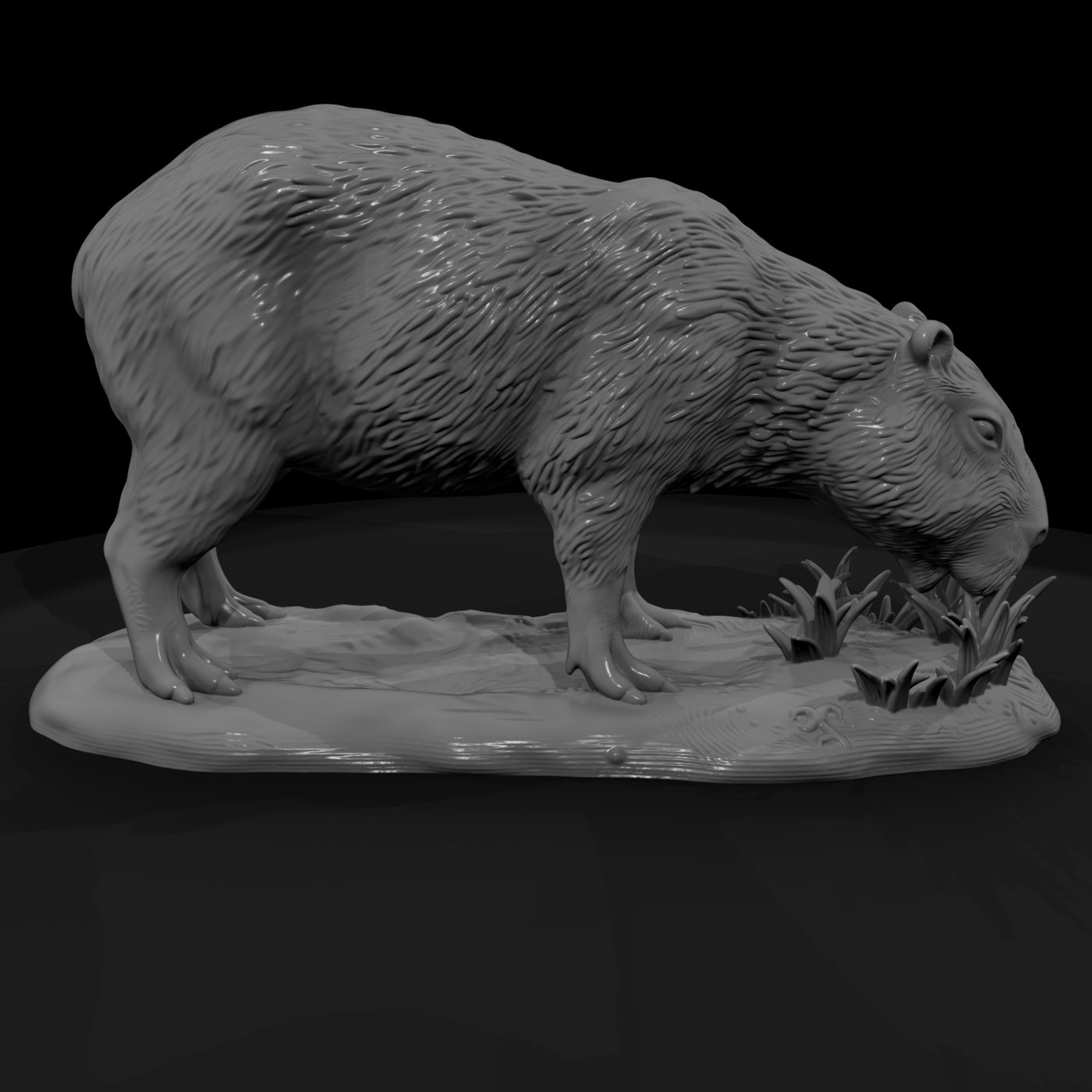 ant-257-capybara-female