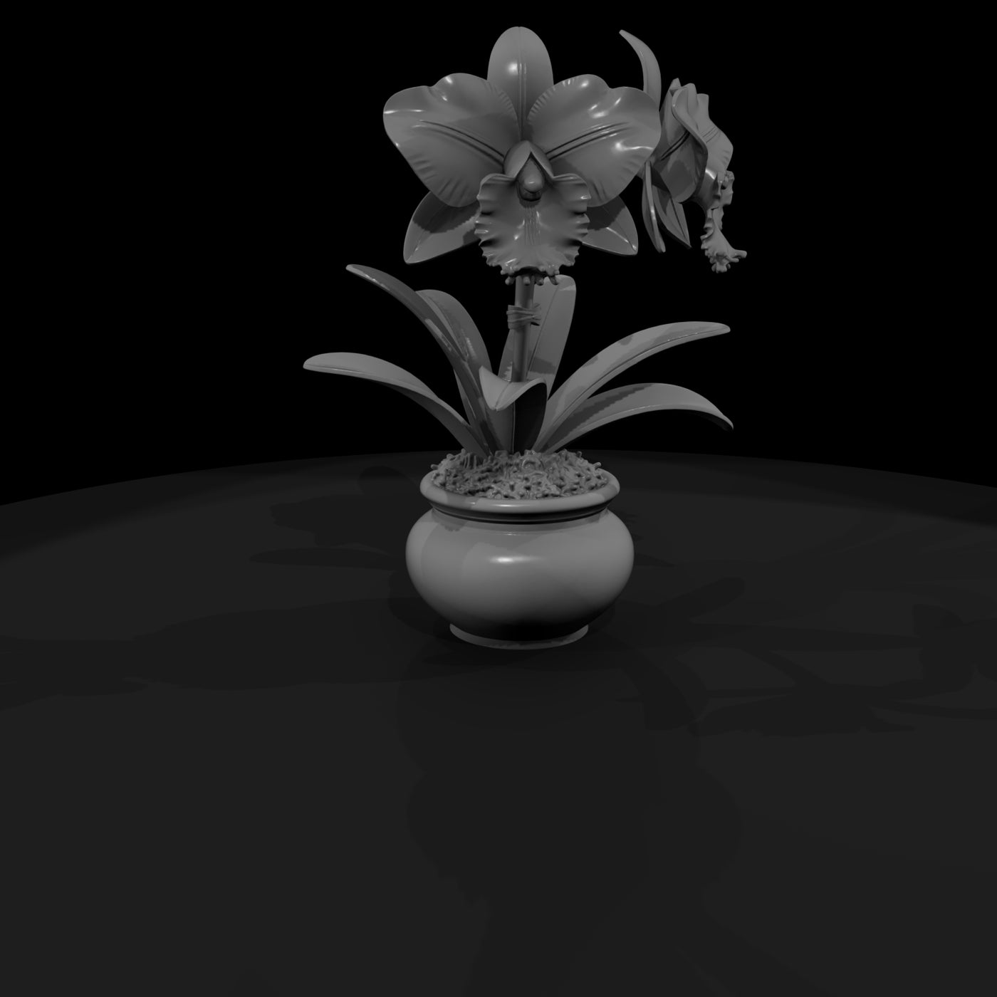 stylized-potted-cattleya-orchid-3d-model-si5zgg4s