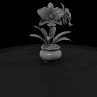 stylized-potted-cattleya-orchid-3d-model-si5zgg4s — thumbnail 3
