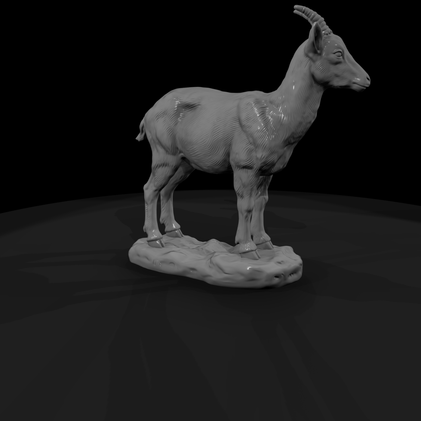 Ant 281 Markhor Female