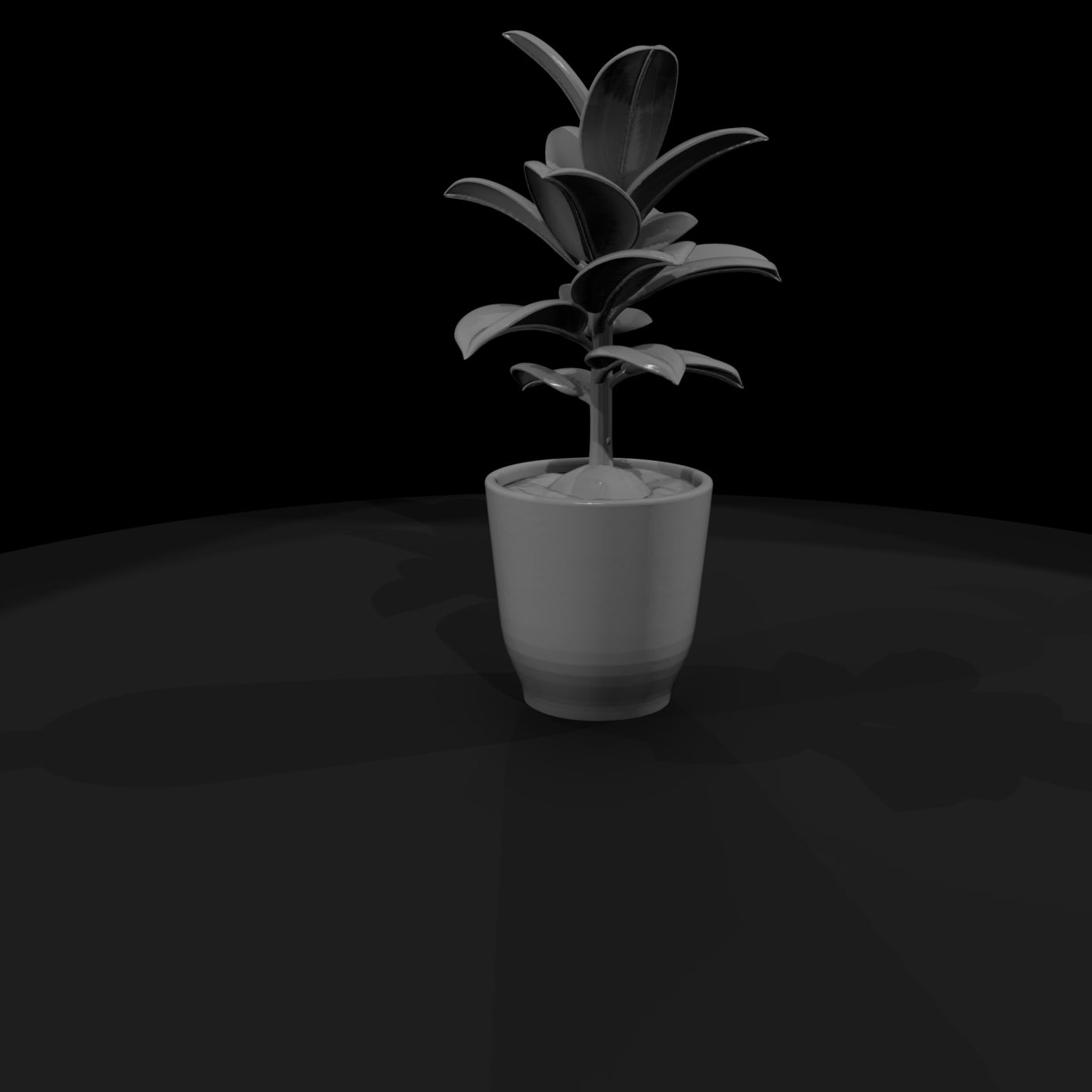 untextured-potted-rubber-plant-3d-model-gkku0lue