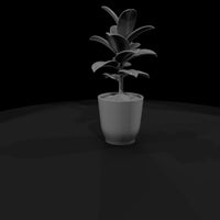 untextured-potted-rubber-plant-3d-model-gkku0lue — thumbnail 3