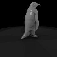 ant-124-emperor-penguin-male — thumbnail 3