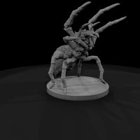 fmon-51-giant-spider-48ceac — thumbnail 3