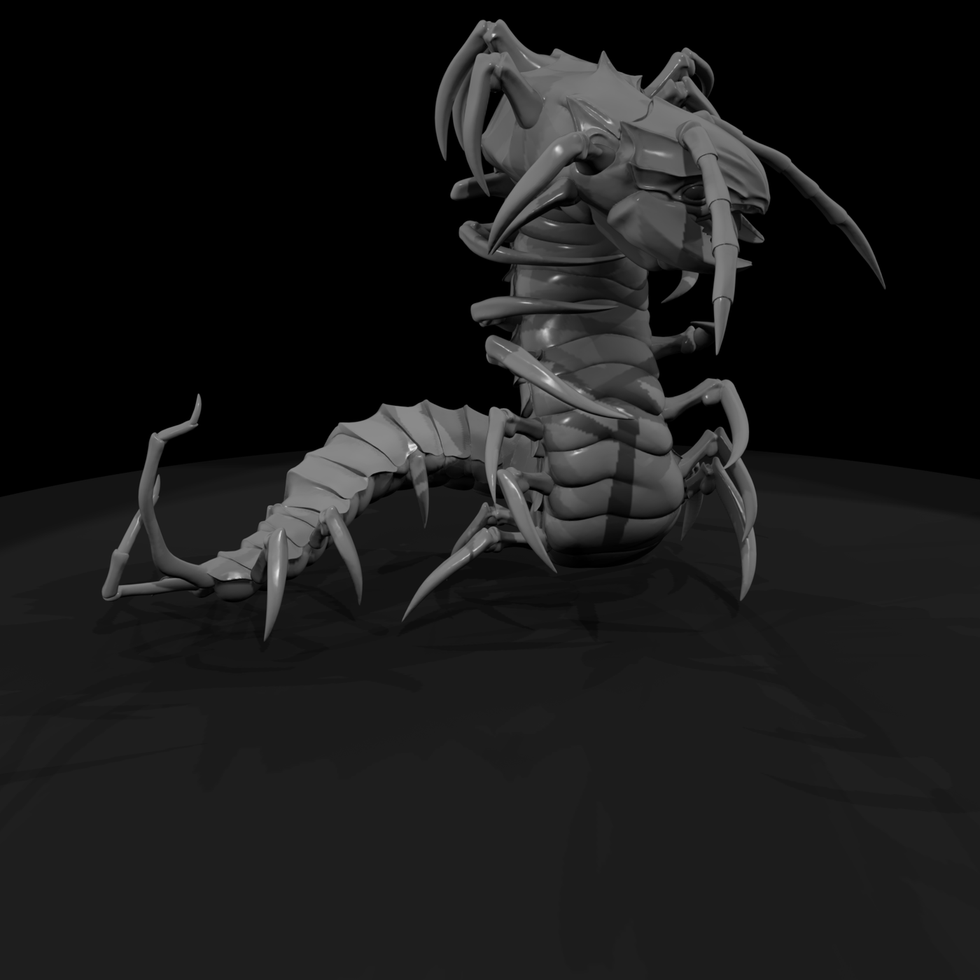 Giant Centipede