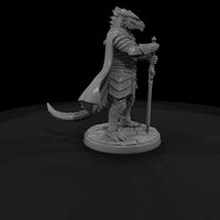 fadv-07-dragonborn-paladin-340703 — thumbnail 4