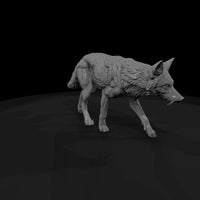 ant-169-coyote-male — thumbnail 3