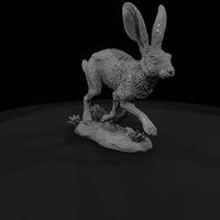 ww-0322-animal-jackrabbit — thumbnail 3