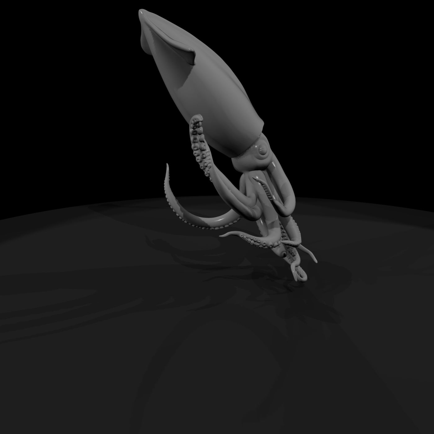 20260612-detailed-grey-squid-8f04875c8d
