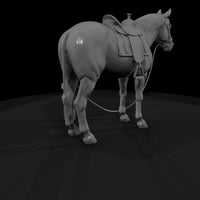 horse — thumbnail 4