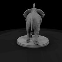 ant-022-african-elephant-male — thumbnail 3