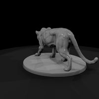 ant-008-leopard-female — thumbnail 3