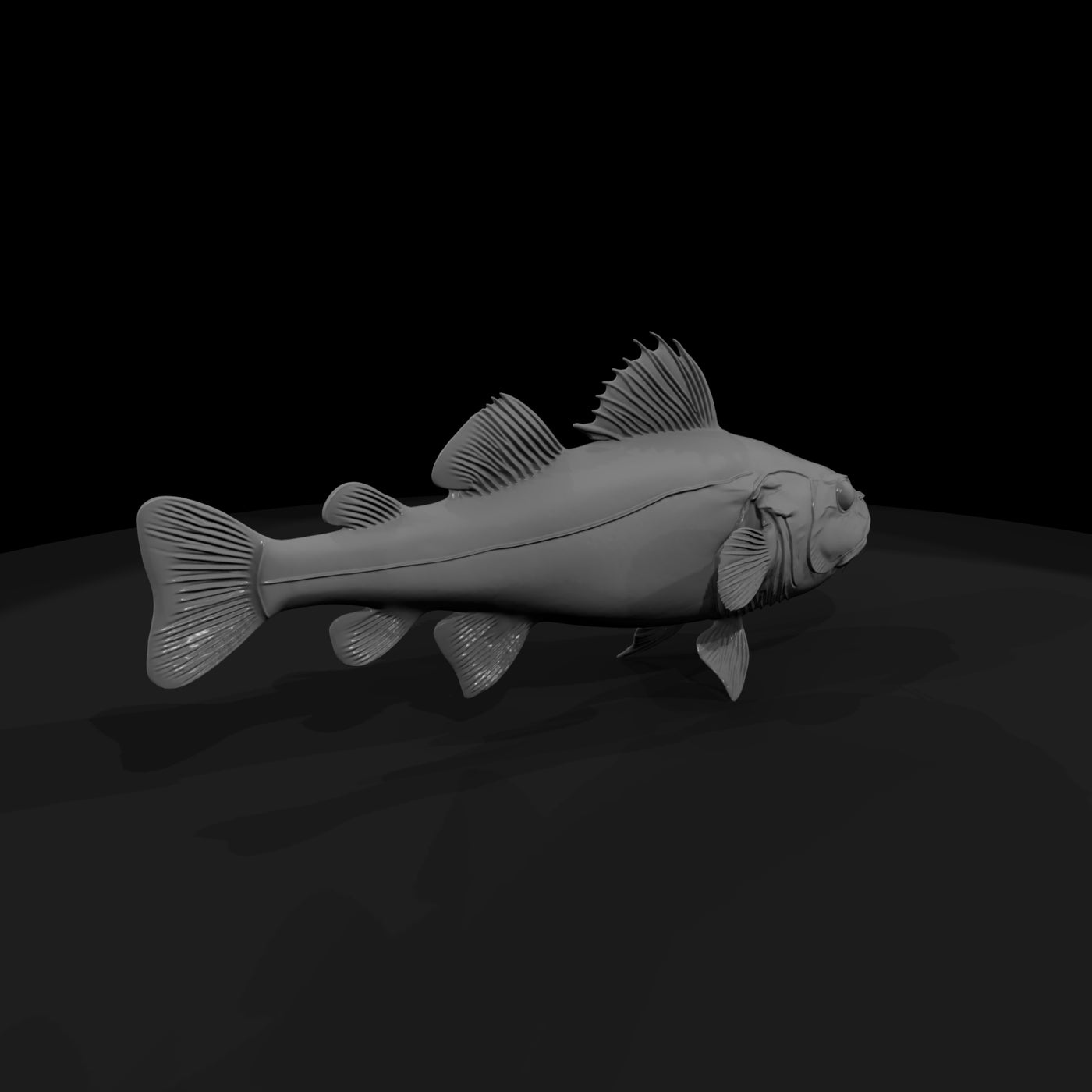 spotted-cod-for-dioramas-and-model-layouts-124387