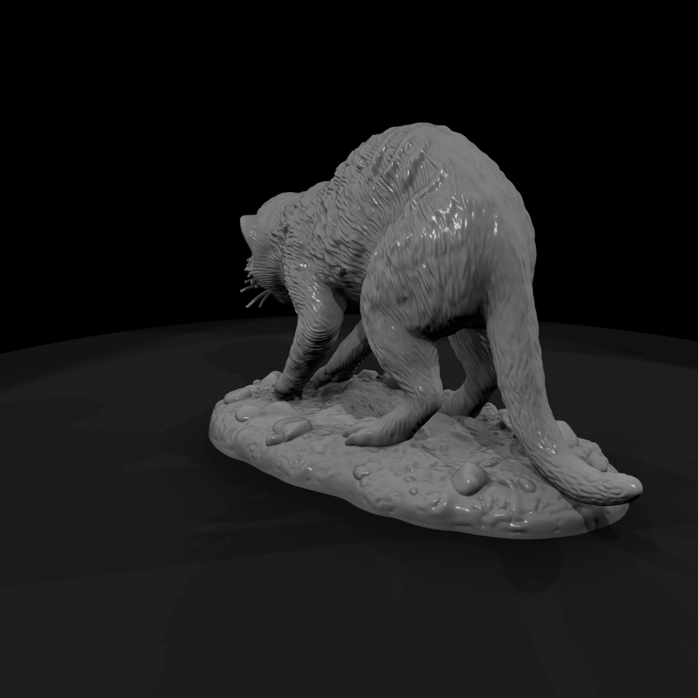 ant-191-meerkat-female